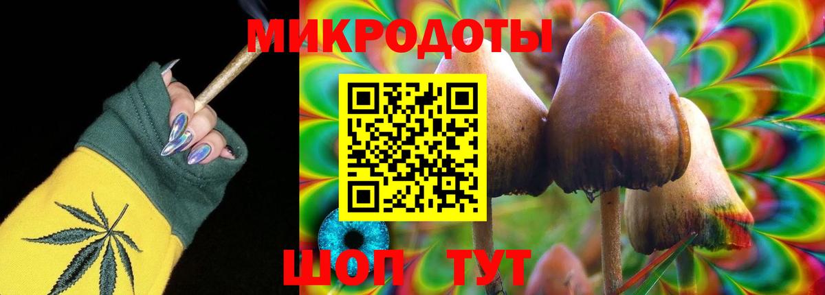 Галлюциногенные грибы мухоморы Сыктывкар