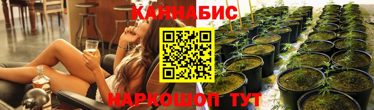 Марихуана THC 21% Сыктывкар